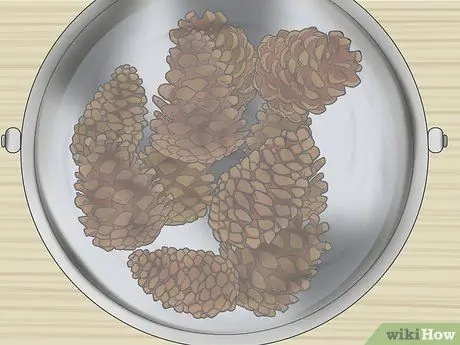 Консервировать шишки Шаг 4