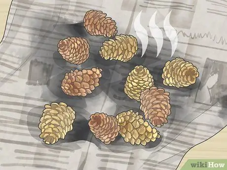 Консервировать шишки Шаг 5