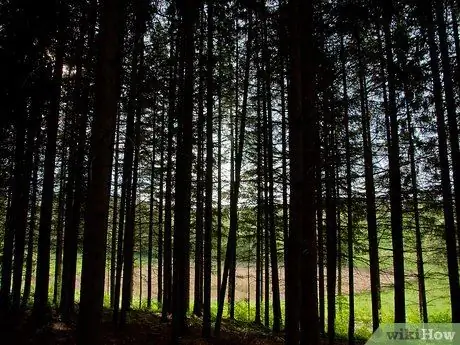 Проведите летние каникулы в горах Шаг 6 Проведите летние каникулы в горах Шаг 6