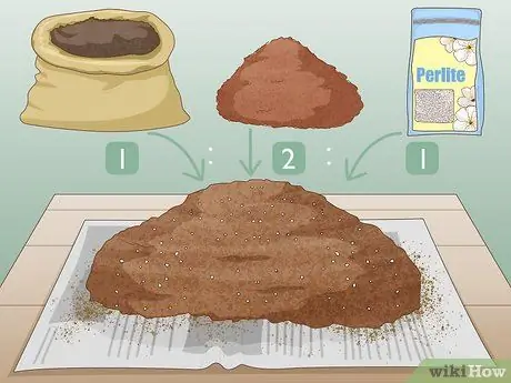 Размножение суккулентов черенками Шаг 9