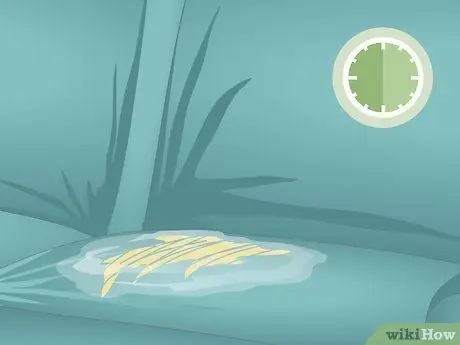 Очистите бархатный диван Шаг 9