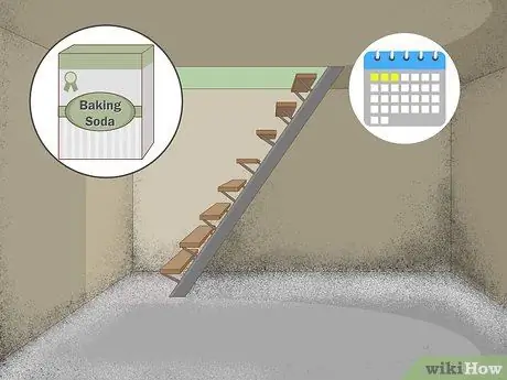 Устранение затхлого запаха подвала Шаг 5