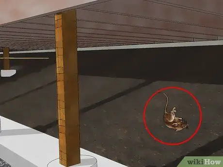 Улучшение запаха в подвале Шаг 4