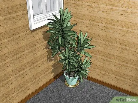 Украшаем подвал Шаг 16