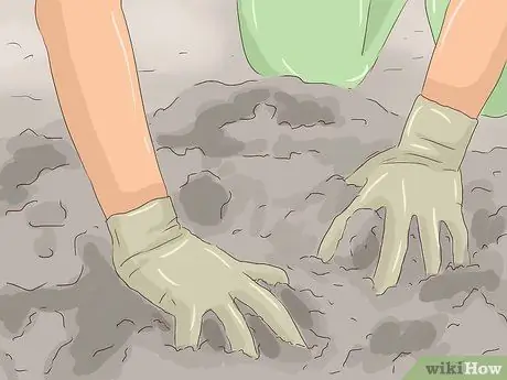 Посадить салат Шаг 11