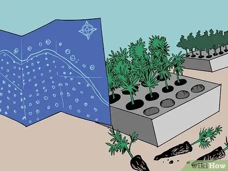 Посадка деревьев для проекта лесовосстановления Шаг 2