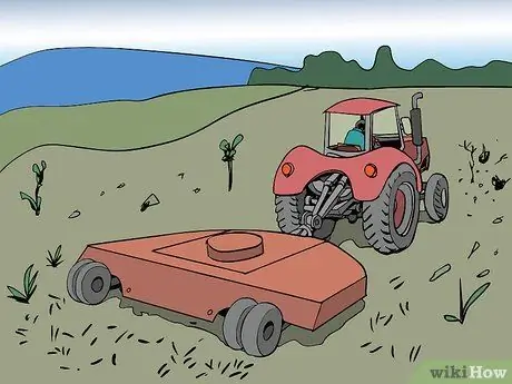 Посадка деревьев для проекта лесовосстановления Шаг 4
