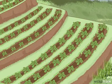 Предотвращение эрозии почвы Шаг 12