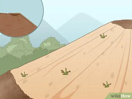 Предотвращение эрозии почвы Шаг 3