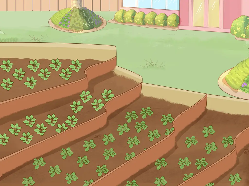 Как предотвратить эрозию почвы: 15 шагов (с иллюстрациями)