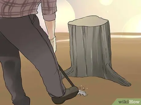 Выкопайте корни деревьев, шаг 1