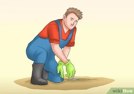 Постройте небольшую садовую дорожку Шаг 5