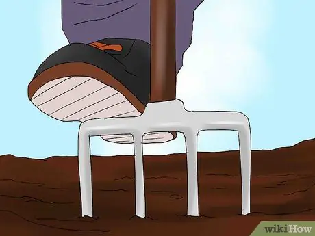 Зимние георгины Step 3 Bullet 1