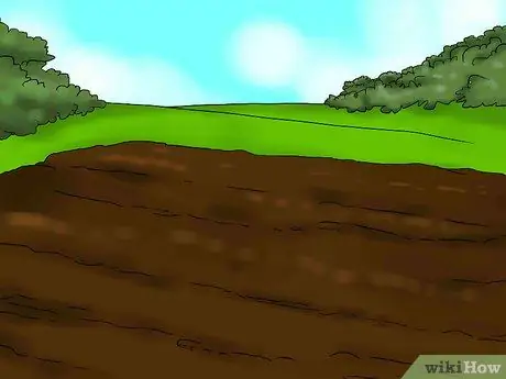 Выращивайте огурцы для маринования Шаг 2