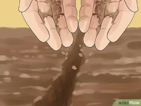 Садовые овощи весной Шаг 3