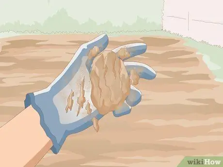 Подготовка почвы для огорода Шаг 3