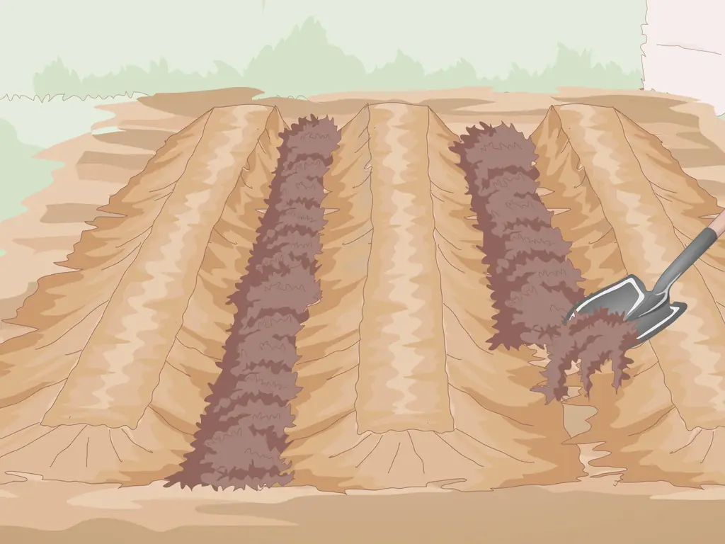 Как подготовить почву для огорода: 15 шагов