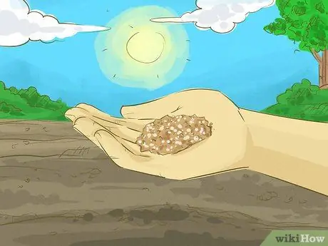 Добавление кальция в почву Шаг 8