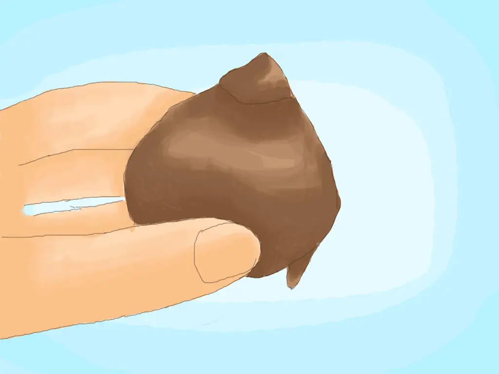 Как вылечить луковицы нарциссов для пересадки: 10 шагов
