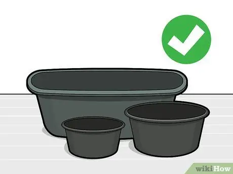 Вырастить цветок лотоса Шаг 10