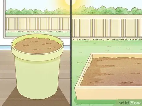 Вырастить райскую птицу Шаг 4
