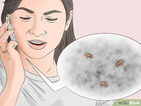 Избавьтесь от клопов, шаг 1