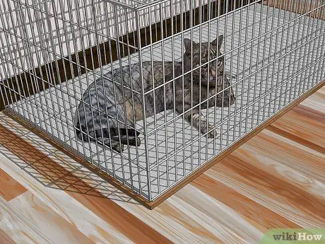 Избавьтесь от клопов, шаг 3