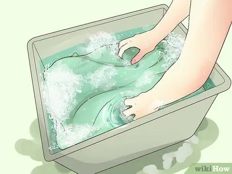 Избавьтесь от клопов органическими способами, шаг 2