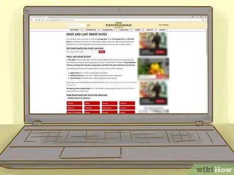 Выращивайте здоровые саженцы, шаг 1