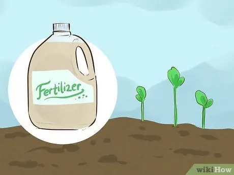 Выращивайте здоровые саженцы Шаг 10