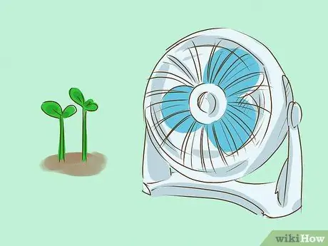 Выращивайте здоровые саженцы Шаг 11