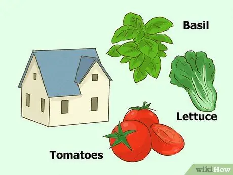 Выращивайте здоровые саженцы, шаг 2