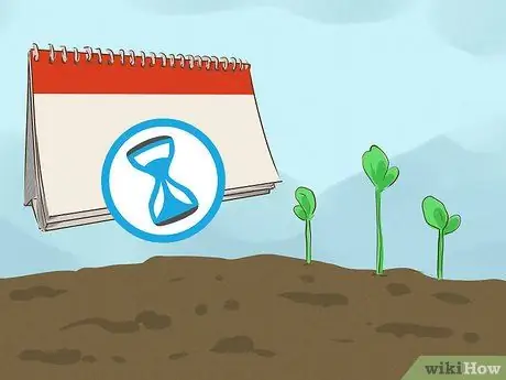 Выращивайте здоровые саженцы, шаг 3