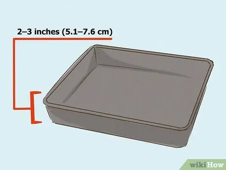 Выращивайте здоровые саженцы, шаг 5