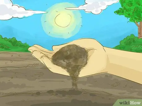 Выращивайте здоровые саженцы, шаг 6