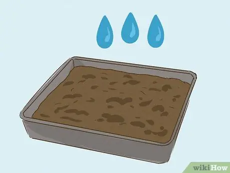 Выращивайте здоровые саженцы, шаг 7