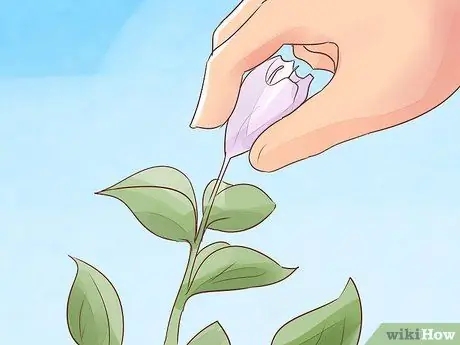 1383806 7