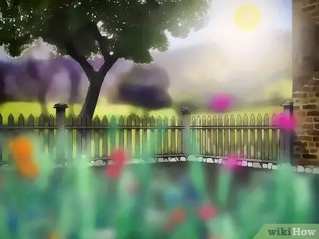 Выращивание цветущего кизила Шаг 4