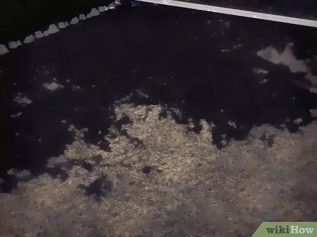 Выращивание цветущего кизила Шаг 5