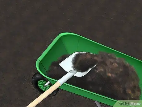 Сажать фруктовые деревья Шаг 5