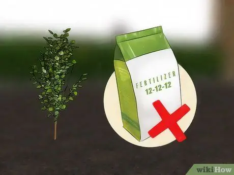 Удобрение фруктовых деревьев Шаг 9