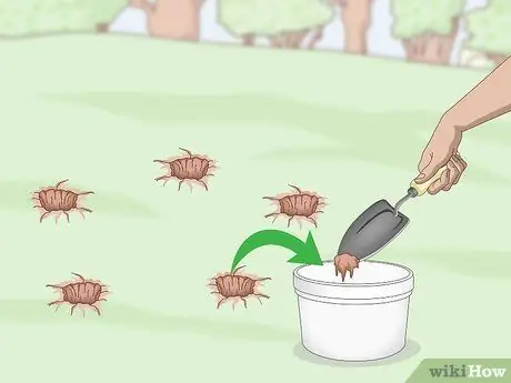 Подготовка почвы для фруктовых деревьев Шаг 10