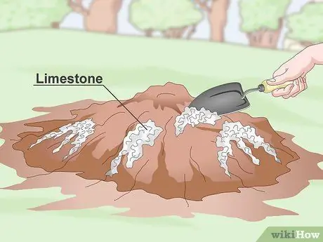 Подготовка почвы для фруктовых деревьев Шаг 11