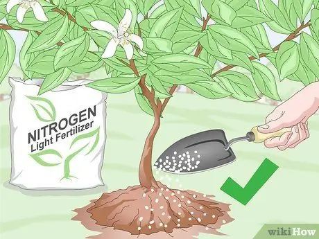 Подготовка почвы для фруктовых деревьев Шаг 14