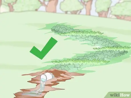 Подготовка почвы для фруктовых деревьев Шаг 2