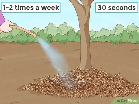 Пересадить дерево Шаг 14