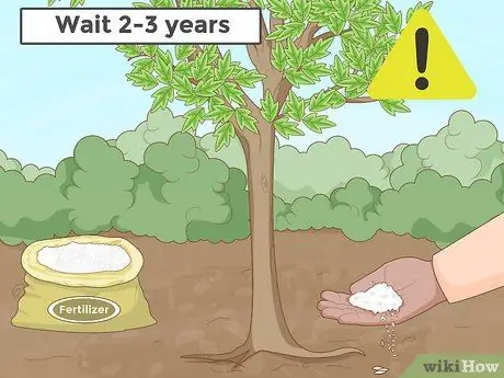 Пересадить дерево Шаг 17