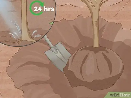 Пересадить дерево Шаг 3