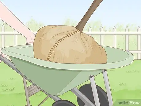 Пересадить дерево Шаг 5