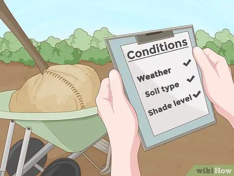 Пересадить дерево Шаг 7